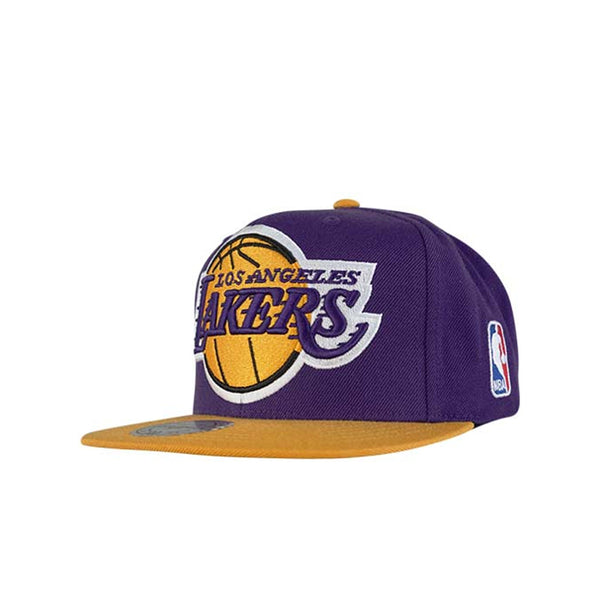 Los Angeles Lakers Mitchell & Ness x Lids Metallic Silver Snapback Hat -  Gray