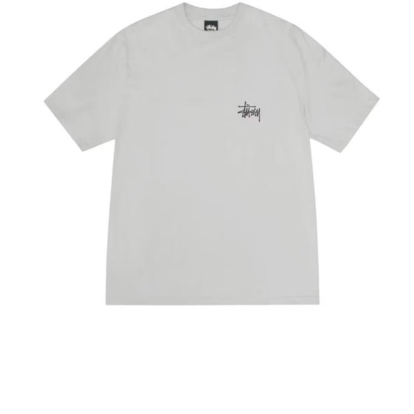 STUSSY ROACH TEE FOG