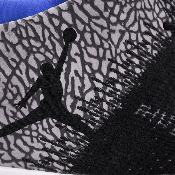AIR JORDAN 31 "WHY NOT?"