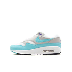 Nike air shop max anniversary aqua