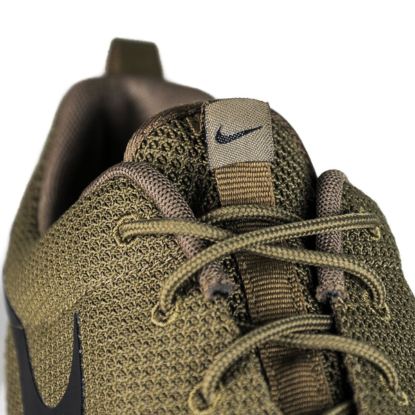 Roshe run outlet iguana