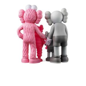 KAWS FAMILY GREY/PINK/FLUORO PINK-